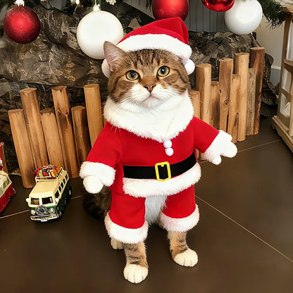 Pet Christmas Costumes