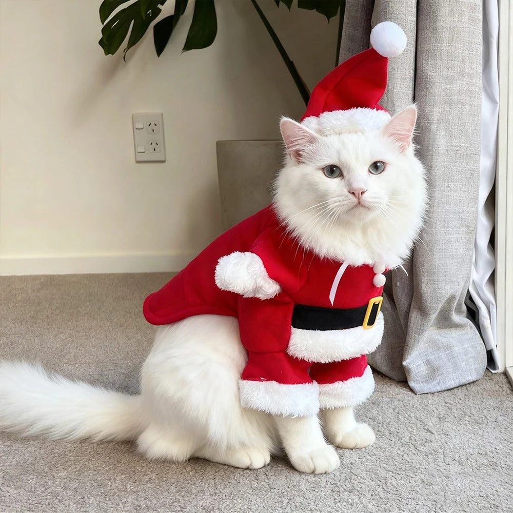 Pet Christmas Costumes