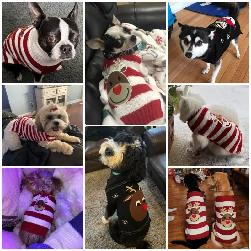 Pet Christmas Costumes